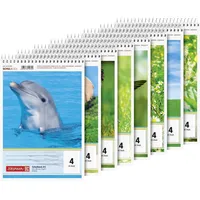 Brunnen 1041904 Schulblock A5 liniert, Lin. 4 40 Blatt, sortiert