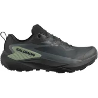 Salomon Genesis GTX Herren Schwarz / Grau / Grün 43