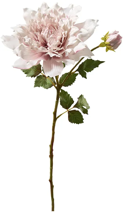 Dahlie 66cm mit Knospe/Blätter lila