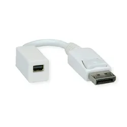 ROLINE DisplayPort Adapter, DP Stecker - Mini DP Buchse
