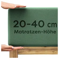 Wolkenfeld Spannbettlaken Jersey-Baumwolle-Elasthan 140 x 200 - 160 x