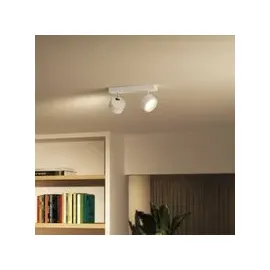Philips Bracia 2-flammig rund weiß