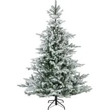 Amicasa Grandis Tanne grün/weiß 180 cm