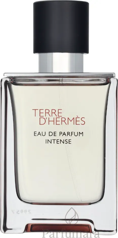 Hermes Terre D'Hermes Eau Intense Vetiver Eau de Parfum 100 ml