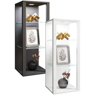 VCM Glasvitrine hängend Vitrine Glas mit ESG-Sicherheitsglas Maße ca. . H. 90 x B. 35 x T. 35 cm Hängevitrine Glas Modern und platzsparend Glas Vitrinenschrank - Glasol MW