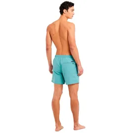 Protest Badeshorts Faster Arctic Green L