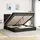 vidaXL Ottoman-Bett 200 x 200 cm Schwarz