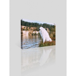Akustikbild "Hund am See" - ohne Rahmen , 120x60 cm , 70mm