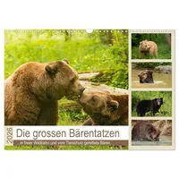 Calvendo Die grossen Bärentatzen (Wandkalender 2026 DIN A3 quer),