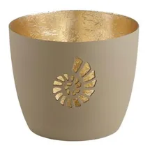 Giftcompany Windlicht Madras Muschel Eisen Braun/Gold