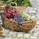 Erntekorb Weide Gartenkorb Blumenkorb Gondelkorb Weidenkorb Holzbügel Dekokorb k