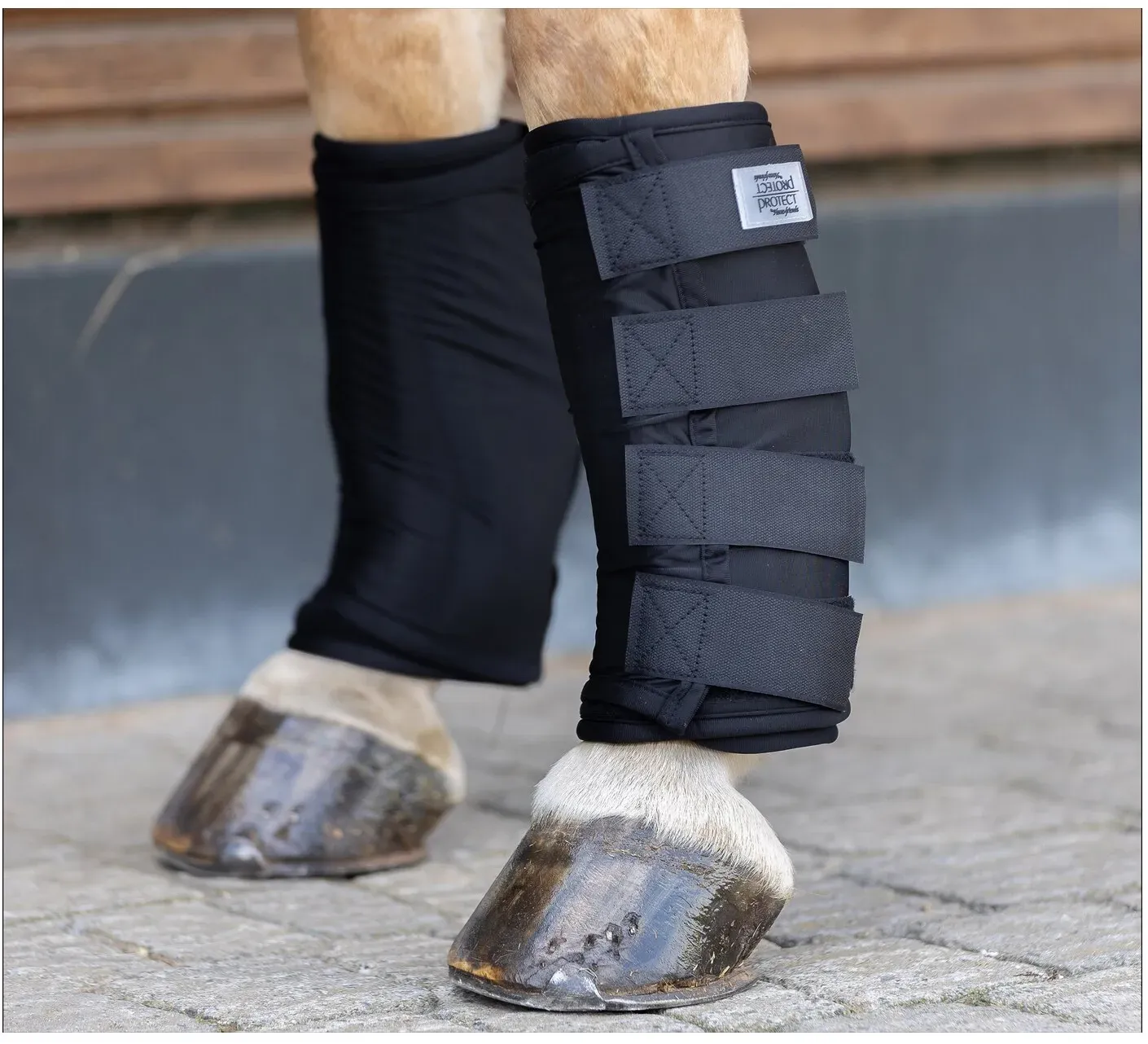 PROTECT by Horse-Friends Wärme- und Kühlbandage schwarz WB