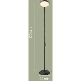 VASAGLE Leselampe 22,0 cm 170,0 cm Schwarz