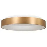 Steinhauer Deckenleuchte Deckenlampe Wohnzimmerlampe Küchenleuchte Ring goldfarben LED
