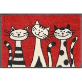 Wash+Dry Three Cats 40 x 60 cm Rot