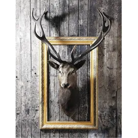 Bönninghoff Keilrahmenbild Büffel B/H/L: ca. 46x2x61 cm