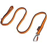 Non-Stop Dogwear Bungee Leash 2.0
