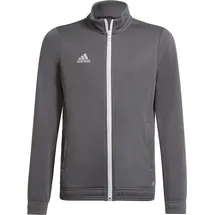 adidas Entrada 22 Trainingsjacke Kinder Team Grey Four 116