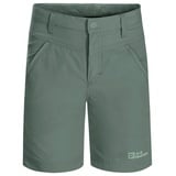 Jungen Shorts K Hedge Green 92