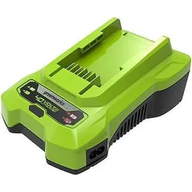 Greenworks G40C Ladegerät 40,0 V