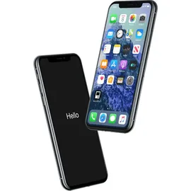 Apple iPhone X 256 GB Space Grau