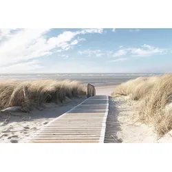 Reinders! Deco-Panel »Nordsee Dünen« Reinders! Farbe Bild(er): khaki