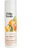 S'olio Verde Kürbiskernöl Thermo-Schutzlotion für alle Haartypen, 250 ml