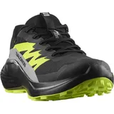 Salomon Herren Alphaglide GTX schwarz 43.3