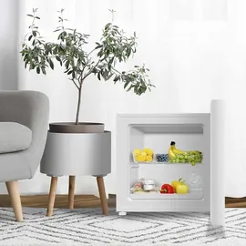 Cecotec Bolero CoolMarket Tt 31 Dual Kühlschrank (31 l, 495 mm hoch, Weiß)