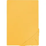 biberna 0077155 Jersey 140 x 200 - 160 x 200 cm gelb