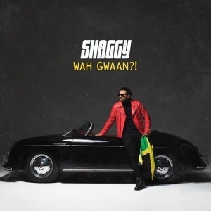 Wah Gwaan?! - Shaggy. (CD)