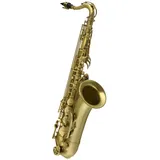Chicago Winds CC-TS4200AY Tenorsaxophon Antique Yellow - Tenorsaxophon