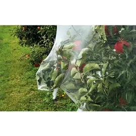 Dehner Insektenschutz-Netz 5 x 2,1 m