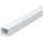 OBO Bettermann Vertr Wand- und Deckenkanal 20x20x2000 PVC rws WDK20020RW