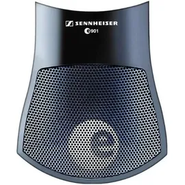 Sennheiser E 901