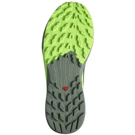 Salomon Sense Ride 5 Herren Black / Laurel Wreath / Green Gecko 40
