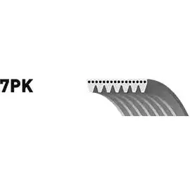 Gates 7PK1933