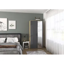 Rauch Drehtürenschrank VOYAGER 93 x 194 x 53 cm Grau