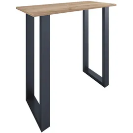 VCM Bartisch Xona 110x50