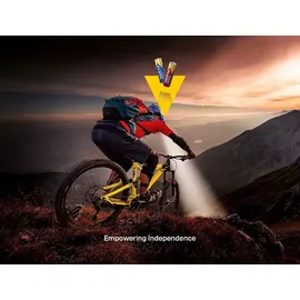 Varta AA 2960 mAh 12 St.