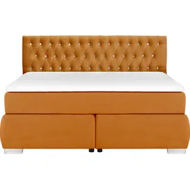 LEONIQUE Rumba 170 x 213 cm H3 Gold