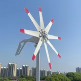 800W Windturbine Windkraftanlage 12V 24V 48V Windgenerator mit MPPT Laderegler 8 Klingen Windräder für Hausgebrauch Yacht Yard Dach Boot Windmühle (12V mit MPPT Regler)