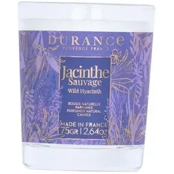 Wilde Hyazinthe Duftkerze 75g