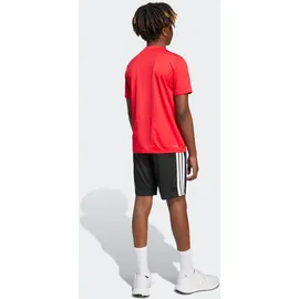 adidas Trainingsanzug rot 152