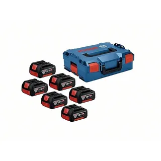 Professional Starterset 18 V Li-Ion 6 x 4,0 Ah 1600A02A2S