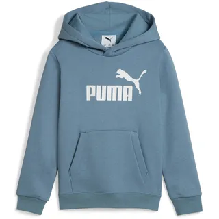 Puma Hoodie Coolblue 104