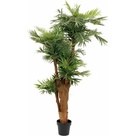 Europalms Areca Palme, Kunstpflanze, 170cm