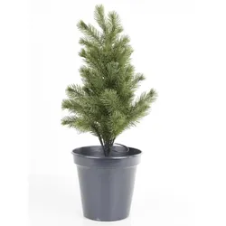 LED Weihnachtsbaum Tannenbaum Tischbaum Blumentopf beleuchtet Batterie Timer