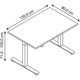 Hammerbacher Sitz-Steh-Schreibtisch elektrisch 120x80cm Buche / Silber