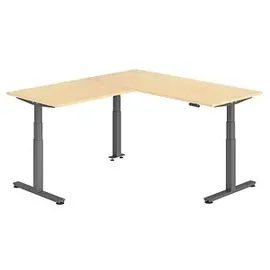 Hammerbacher Winkelschreibtisch XDSMW Ahorn / Grau